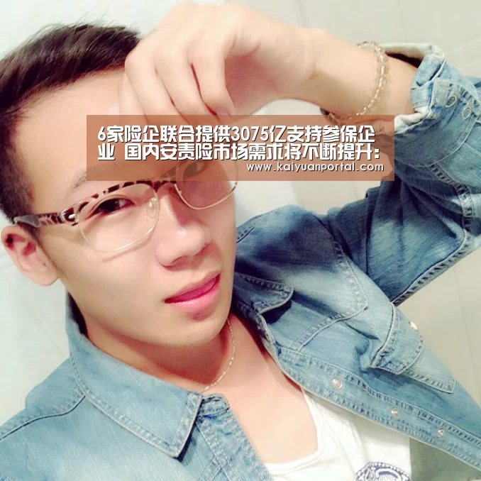 6家险企联合提供3075亿支持参保企业 国内安责险市场需求将不断提升:开元体育(图1) 开元平台