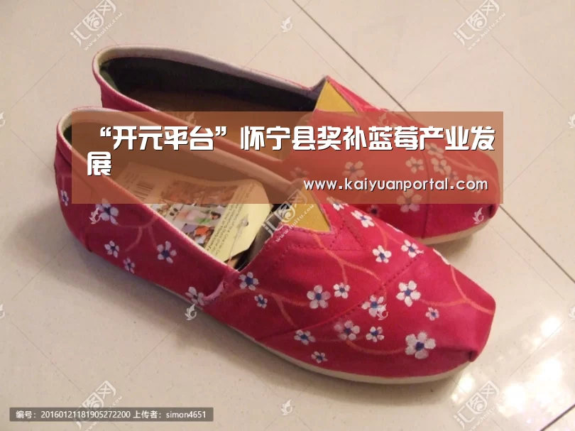 “开元平台”怀宁县奖补蓝莓产业发展(图2) 开元APP