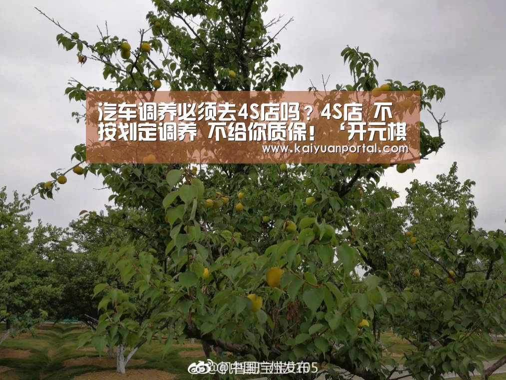 汽车调养必须去4S店吗?4S店 不按划定调养 不给你质保!‘开元棋牌’(图4) 开元体育