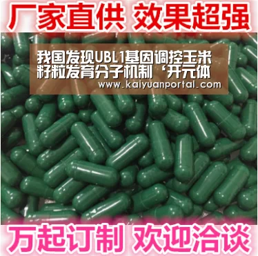 我国发现UBL1基因调控玉米籽粒发育分子机制‘开元体育’(图1) 开元平台