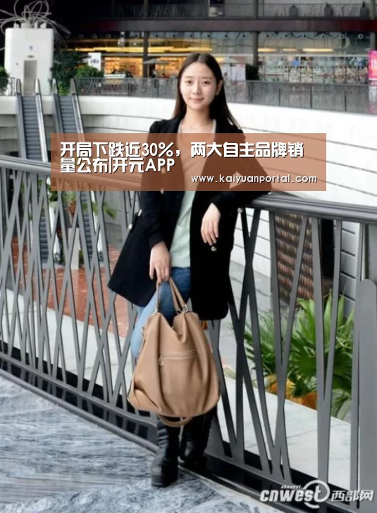 开局下跌近30%,两大自主品牌销量公布|开元APP(图1) 开元APP
