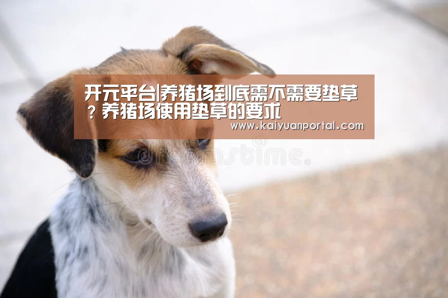 开元平台|养猪场到底需不需要垫草?养猪场使用垫草的要求(图3) 开元体育