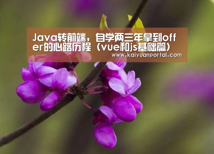 Java转前端,自学两三年拿到offer的心路历程(vue和js基础篇)‘开元平台’(图2) 开元平台